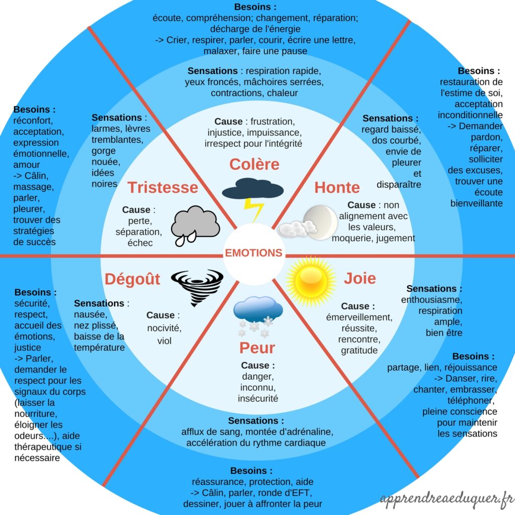 La roue de nos émotions